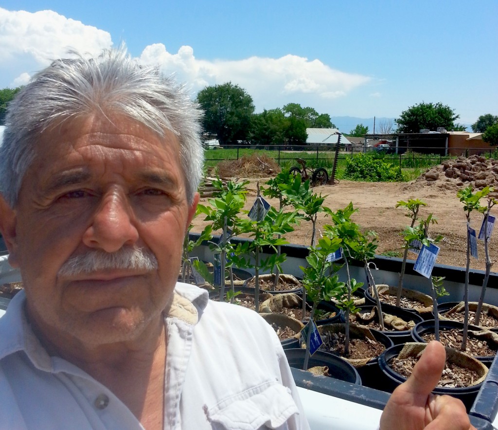 Ernest Cordova, owner of A-1 Pecans tree farm in Los Lunas New Mexico